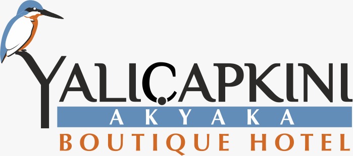 loginlogo